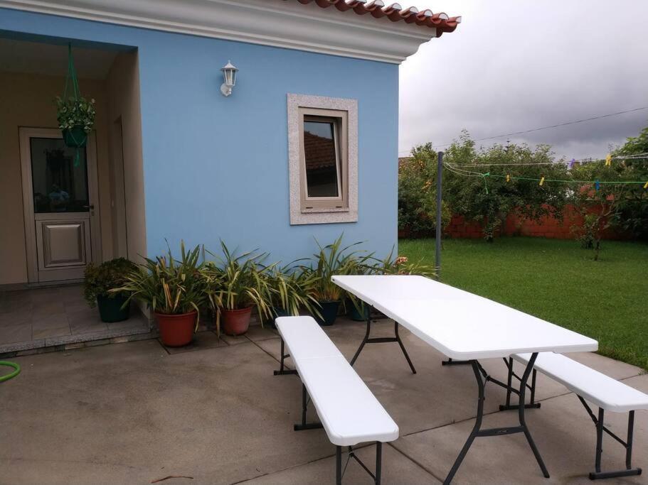 Maison Proche De La Mer Murtosa Exterior photo
